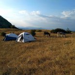 Family hike with donkeys (Baronnies of Provence)