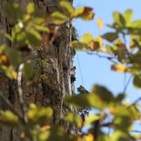 Caruso climbing and yoga course in Freissinières (Écrins)