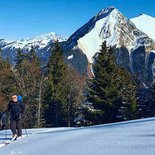 Powder ski touring snow in the Bauges