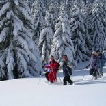 Snowshoeing "discovery" course in Méribel (Savoie)