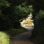 Marche, Nature & Reliance au Vivant sur l'île de Bréhat