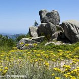 Hiking in the Ospedale (Southern Corsica)