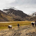 Mountaineering in Bolivia: Chachacomani and Chearoco