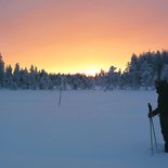 Snowshoeing stay in Finnish Lapland