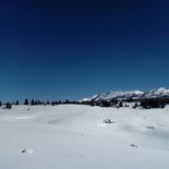 Crossing the Vercors snowshoeing (Isère, Drôme)