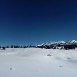 Crossing the Vercors snowshoeing (Isère, Drôme)