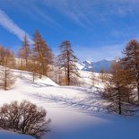 Wild snowshoeing stay in the Queyras 