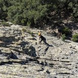 Perfectionnement escalade en falaise (Pyrénées-Orientales)