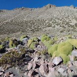 Mountaineering in Bolivia: climbing Sajama volcano