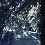 Walk of reconnection to your inner land (Haute-Savoie)
