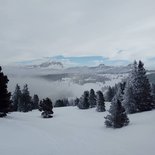 Crossing the Vercors snowshoeing (Isère, Drôme)