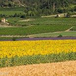 Hiking around Sainte-Croix monastery (Vercors)