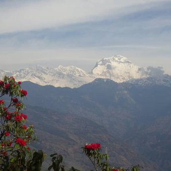 trek-balcon-dhaulagiri-1.jpg