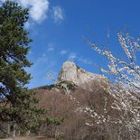 Mont Aiguille ascent (Vercors)