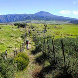 Sporting stay of trail in Reunion Island