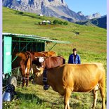 Balade gourmande dans les alpages d'Albiez en Maurienne