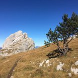 Alpinisme : course d'arête autour de Grenoble (Isère)