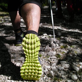 pas-chaussure-marche-nordique.jpg