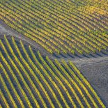 Randonnée photo dans les campagnes de Toscane
