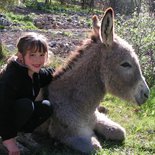 Family trekking with donkeys in the Vercors