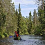 Finnish immersion between lakes and taiga