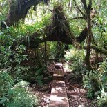 Trekking in the 3 cirques of Reunion Island