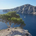 Séjour découverte des Calanques entre Marseille et Cassis