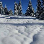 Snowshoeing morning in Les Saisies (Savoie)