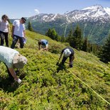 Scientific volunteering with CREA Mont Blanc (Haute-Savoie)