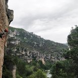 Escalade dans les gorges du Tarn / Jonte / Dourbie