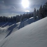 Snowshoeing morning in the Saisies forest (Savoie)