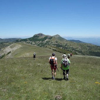 pied-mulet-randonnee-baronnies.jpg