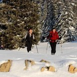 Snowshoeing, Nature & Connection to Life in Jura
