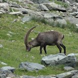 Viso tour off the beaten track (Hautes-Alpes, Piedmont)