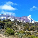 Ascent of Kilimanjaro by the Machame route